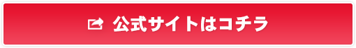 公式サイトはコチラ